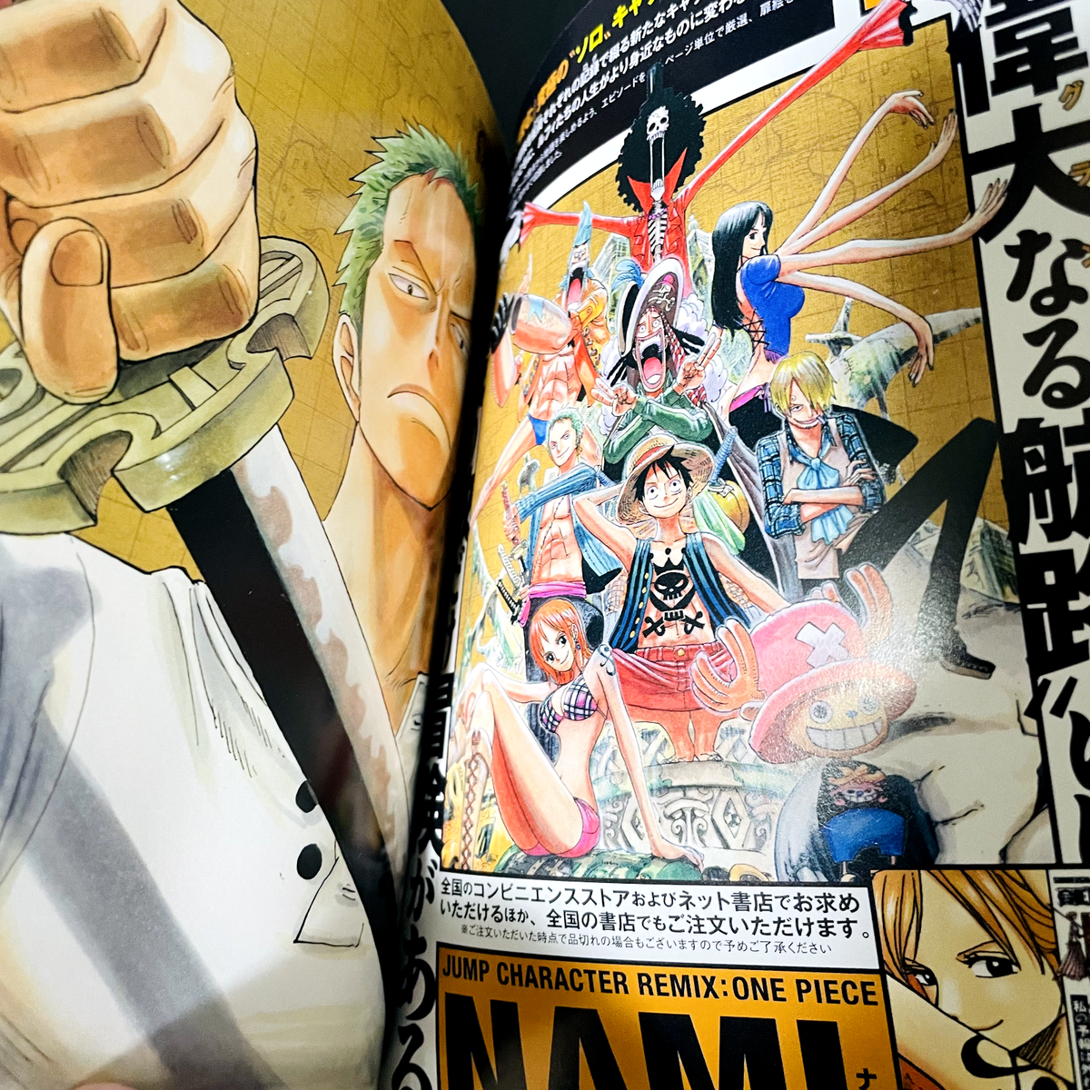 One Piece Roronoa Zoro Eiichiro Oda Paper Back Shueisha Jump Remix