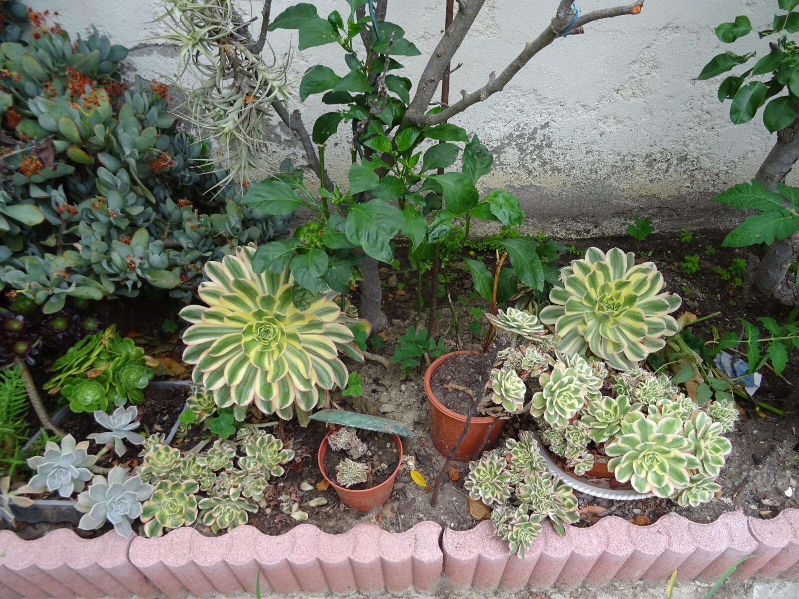 Picture 22 of 24