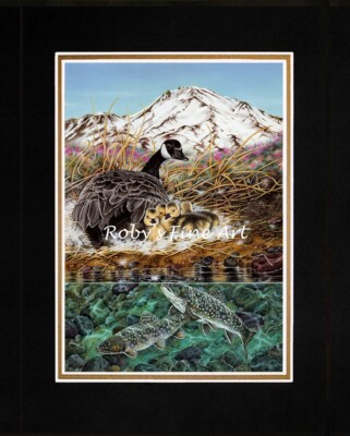 Matted Canada Goose Art Print ''Guarded Moment'' Mat 11''x14'' by Roby Baer PSA