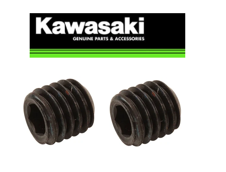 NOS Kawasaki Socket Screw 8x8 Set of 2 KDX200 KLR650 KX125 KFX250