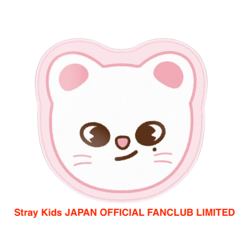 ジニレット SKZOO STRAY KIDS STAY JAPAN FC OFFICIAL GOODS SKZOO MINI CARPET