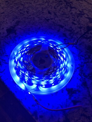 20meter / 65 ft US 3528 Flexible Strip Light With 3m Tape 300 LED 12V