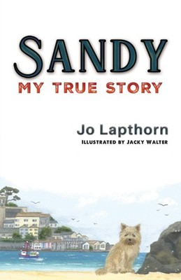 Sandy by Jo Lapthorn PAPERBACK 9781398435872