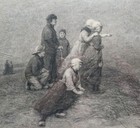 Picture 4 of 7