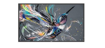 Philips W126648012 43BDL3511Q_00 43 Q-Line 18/7 4K UHD  basic failover, USB ~E~