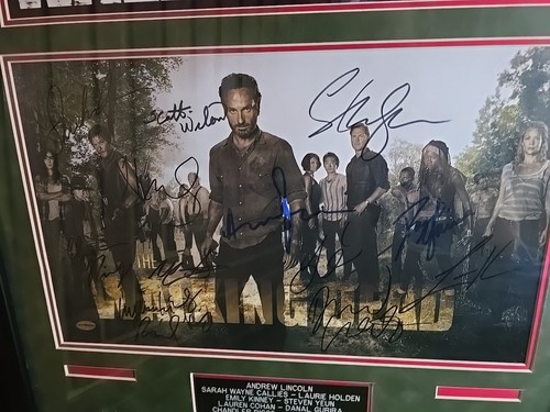 Framed Walking Dead FULL CAST (13) Signed Autographed Authentic Promo Poster - Picture 3 of 11