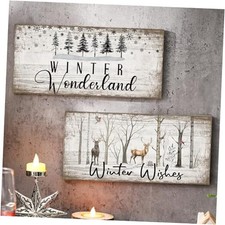 2 Pcs Winter Wonderland Decorations Farmhouse White Wonderland Signs for Door