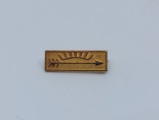 Cub Scouts Arrow of Light Gold Colored Lapel Pin BSA Boy Scouts