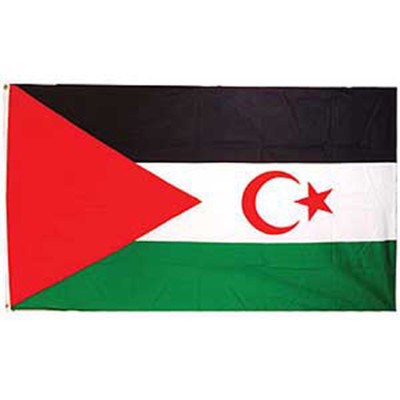 SAHARAN ARAB REPUBLIC POLYESTER INTERNATIONAL COUNTRY FLAG 3 X 5 FEET