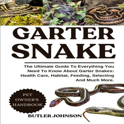GARTER SNAKE The Ultimate Guide To Everything You Need To Know Ab