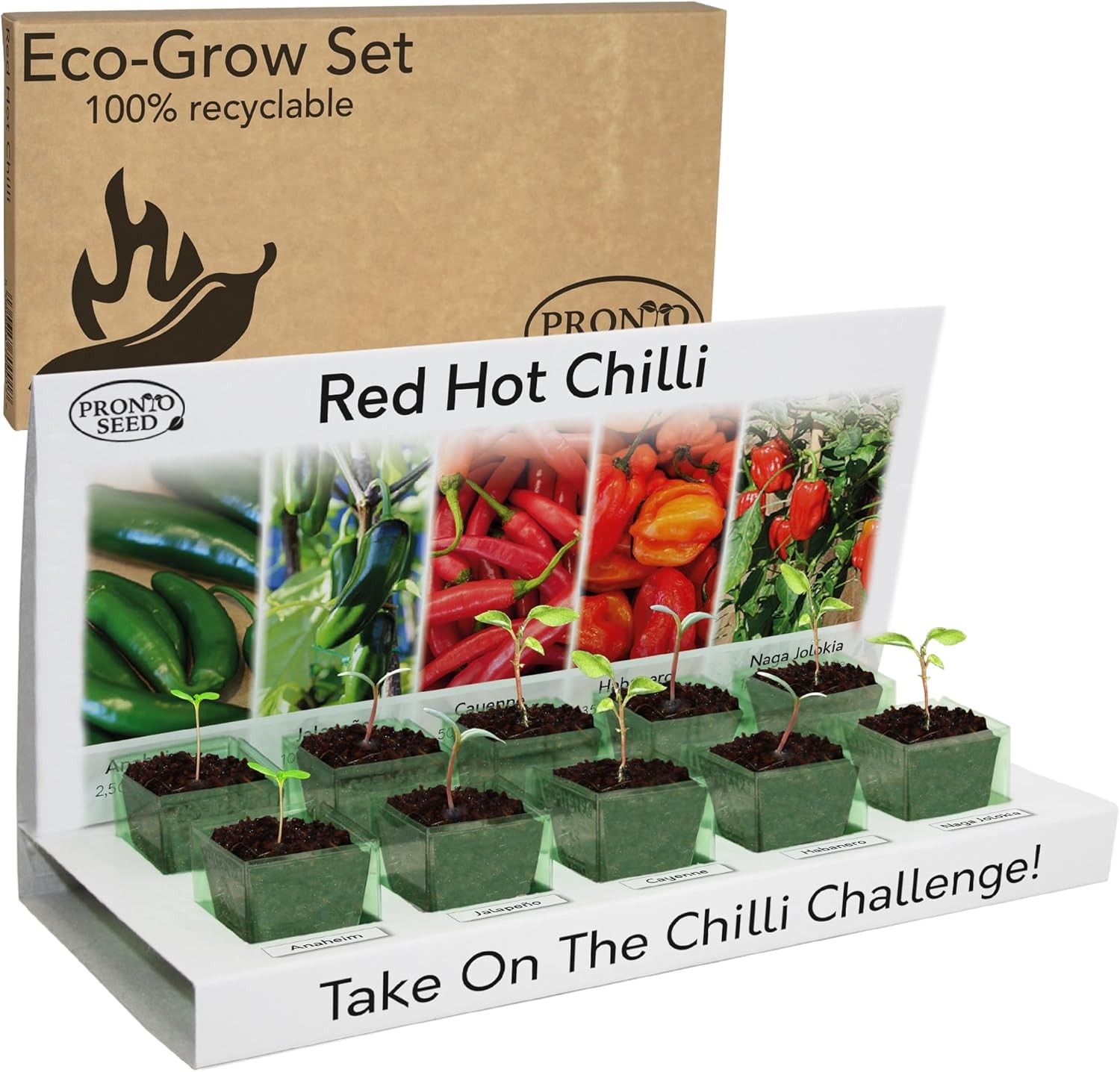 Pronto Seed Grow Your Own Chilli Plant Kit with 5 Seeds Varieties - Indoor Grow