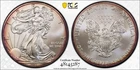 2011 American Silver Eagle - Ultraviolet Eagle Label - MS69