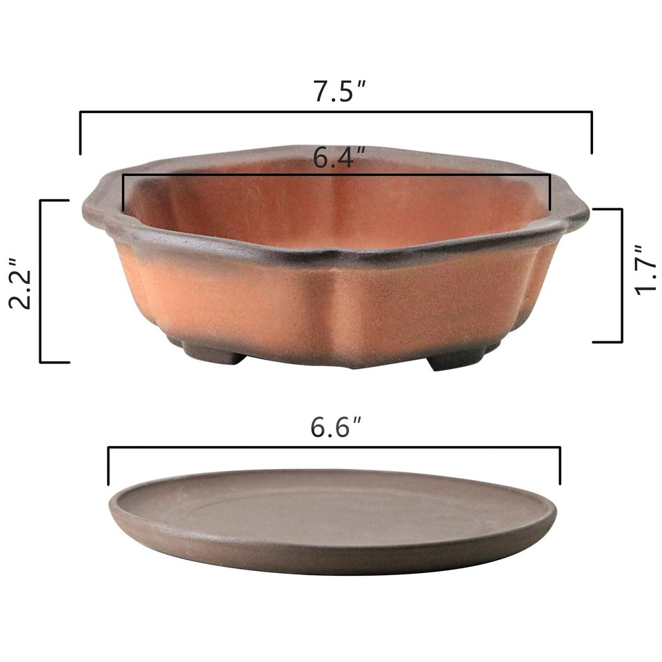 MUZHI 7.5” Unglazed Flower Shape Clay Bonsai Pot with Ceramic Saucer, Colo eBay
