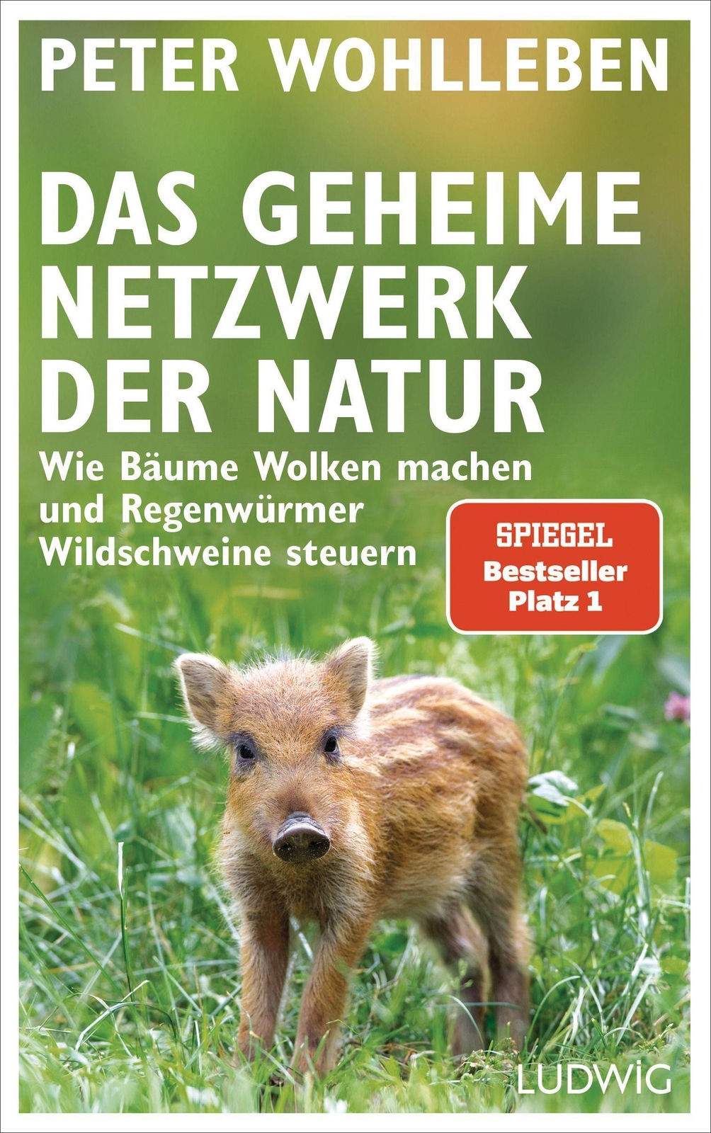Das Geheime Netzwerk Der Natur | Peter Wohlleben | Buch | 224 S. |