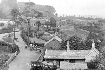 Xnn-69 Saltwells Coppice, Cradley Heath, Worcestershire. Foto