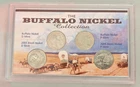The Buffalo & Bison Nickel Collection 2005 D and 2005 F in Case