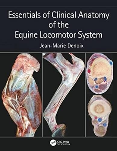 Essentials of Clinical Anatomy of the Equine Locomotor System by Jean-Marie... - Image 4