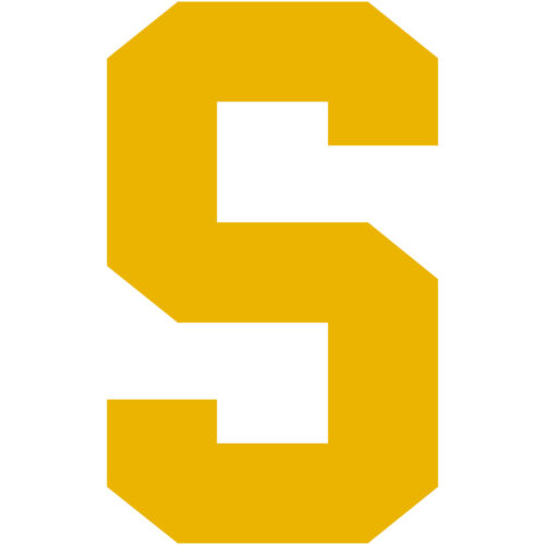 Varsity Letter S Aufkleber Aufkleber Vinyl Fenster Laptop College Sport Team - Bild 22 von 25