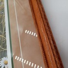 Bild 14 von 20