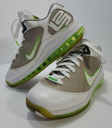 2010 lebron shoes