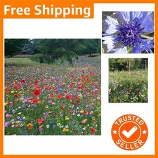 Attract Bees & Butterflies with 10g UK Wild Flower Seed Mix - Buy 2, Get 2 Free 799.00 per kilo