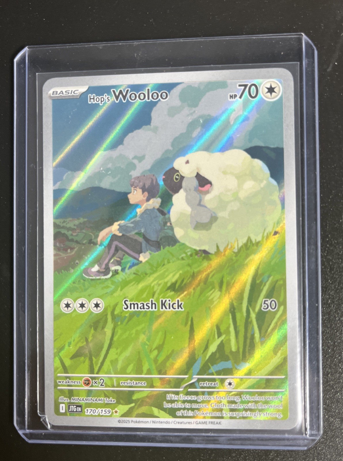 Hop's Wooloo 170/159 : Journey Together Pokemon