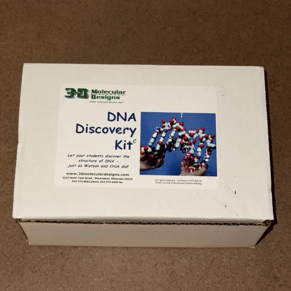 3D Molecular Designs The DNA Discovery Kit - 2 Pares Base Modelo Molécula Ciencia - Imagen 4 de 4