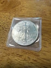 US Mint 2019 American Silver Eagle .999 Silver Dollar 1 Oz Coin