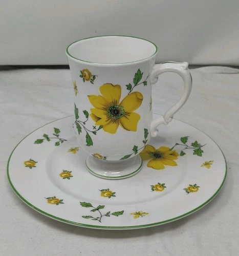 Royal Victoria Fine Bone China Yellow Flower Teacup 8 In Plate Set Dogwood Roses