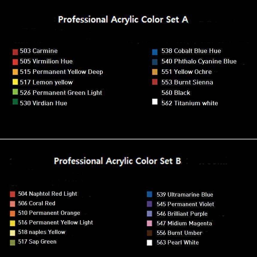Shinhan Professional Acrylic Paint Set 50ml 1.69 fl.oz 12 Colors Tube A Type 2022 Zomer