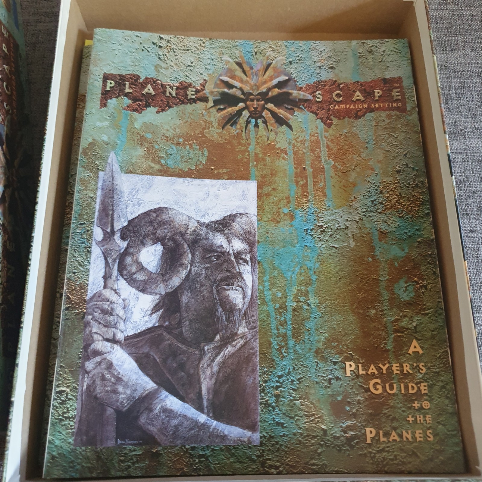 Picture 7 of 12