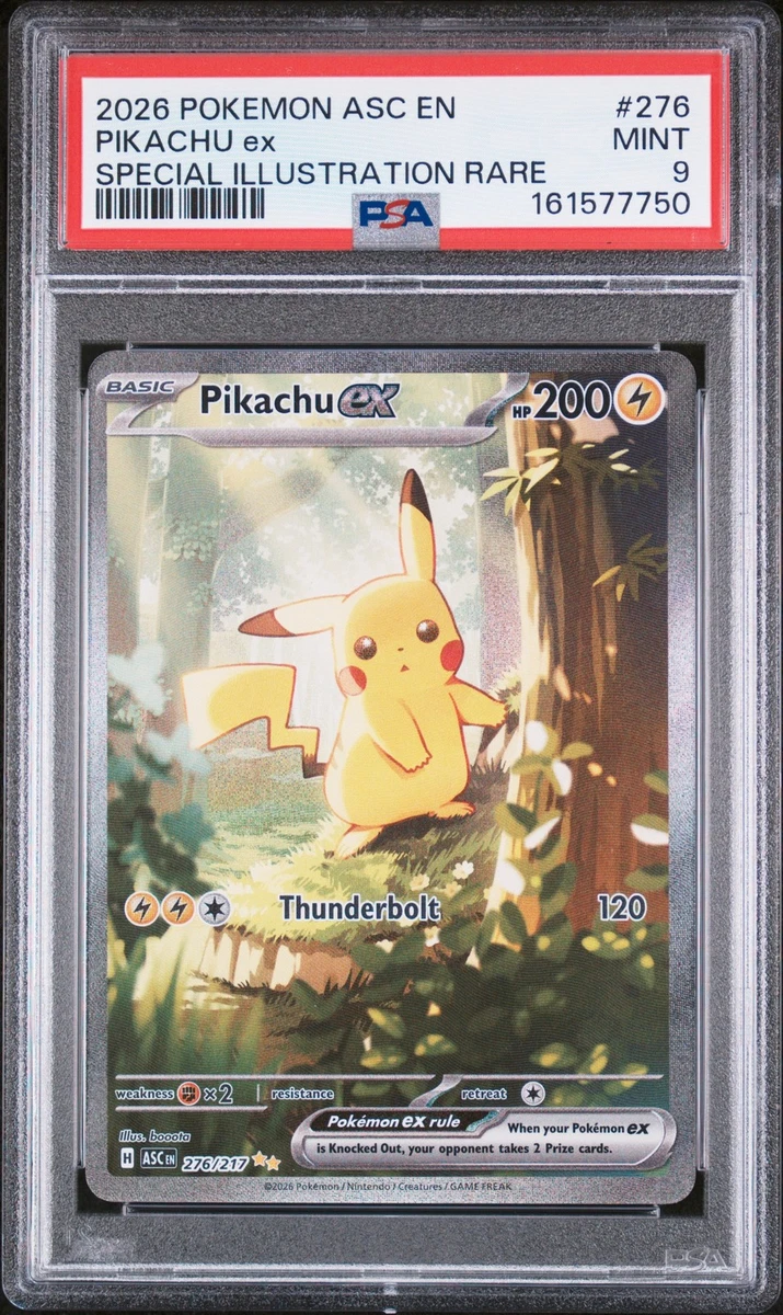 Preços baixos em Pikachu Pokémon TCG Autenticador Esportivo