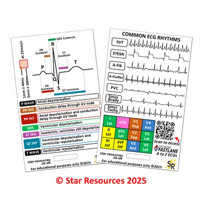 STAR RESOURCES ECG Rhythms ID Badge Flash Cards Student Paramedics Ambulance