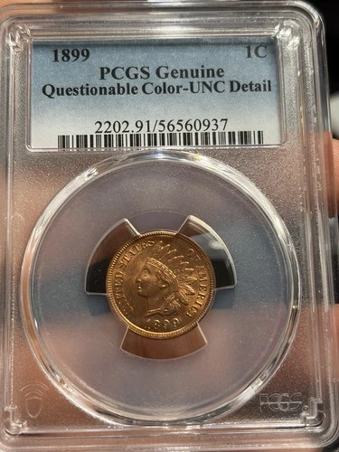1899 indian head cent - PCGS Uncirculated - Questionable Color