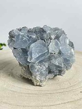 Nat&uuml;rliche, Himmlische Celestite-Kristalle auf Muttergestein - Ein Geschenk der