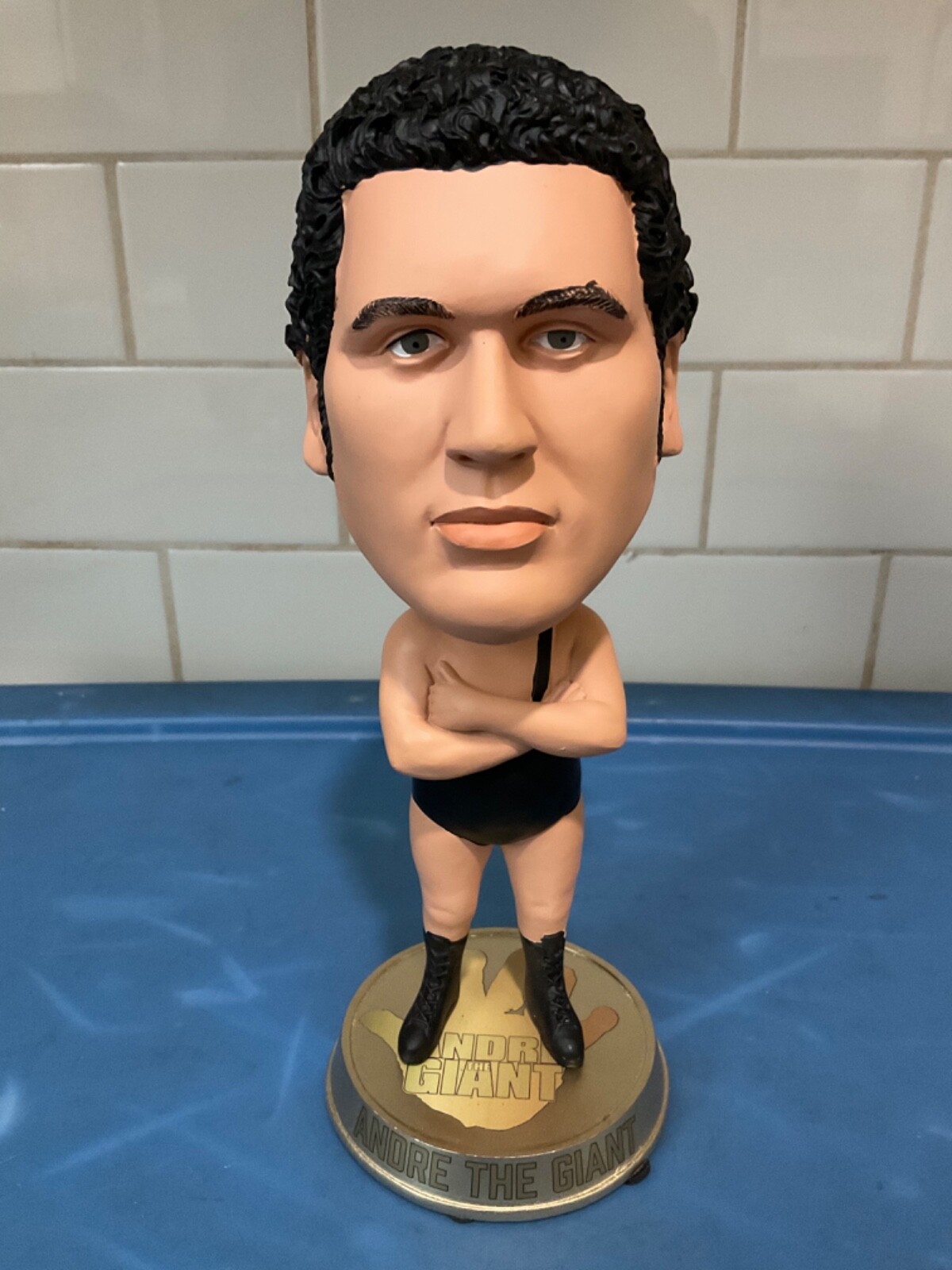 FOCO / Forever Collectibles WWF Andre the Giant “Big Heads