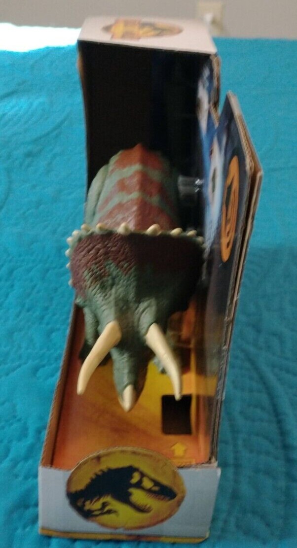 Foto 3 di 6