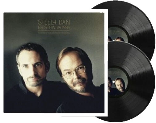 Steely DAN Pop discos de vinilo de velocidad de 33 RPM