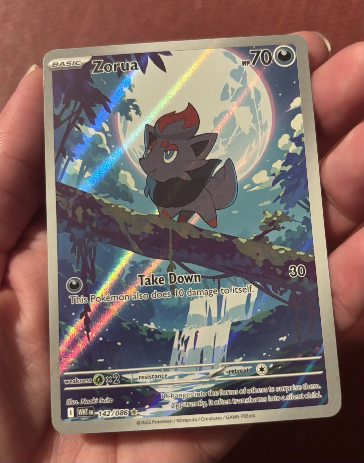 Pokemon Tcg Zorua 142/086 English White Flare Card, Fresh NM Condition