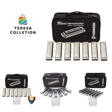 Deluxe 7-Key Harmonica Set with Hard Shell Case - Ideal for Aspiring Musicians