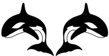 Killer Whale Orca 2 Black Vinyl Decals Car Truck Windows Laptop Notebook Tablet