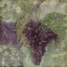 Ceramic Backsplash Tile Mural Fruit Vegetable Kitchen/Bathroom - Vin Margeaux II