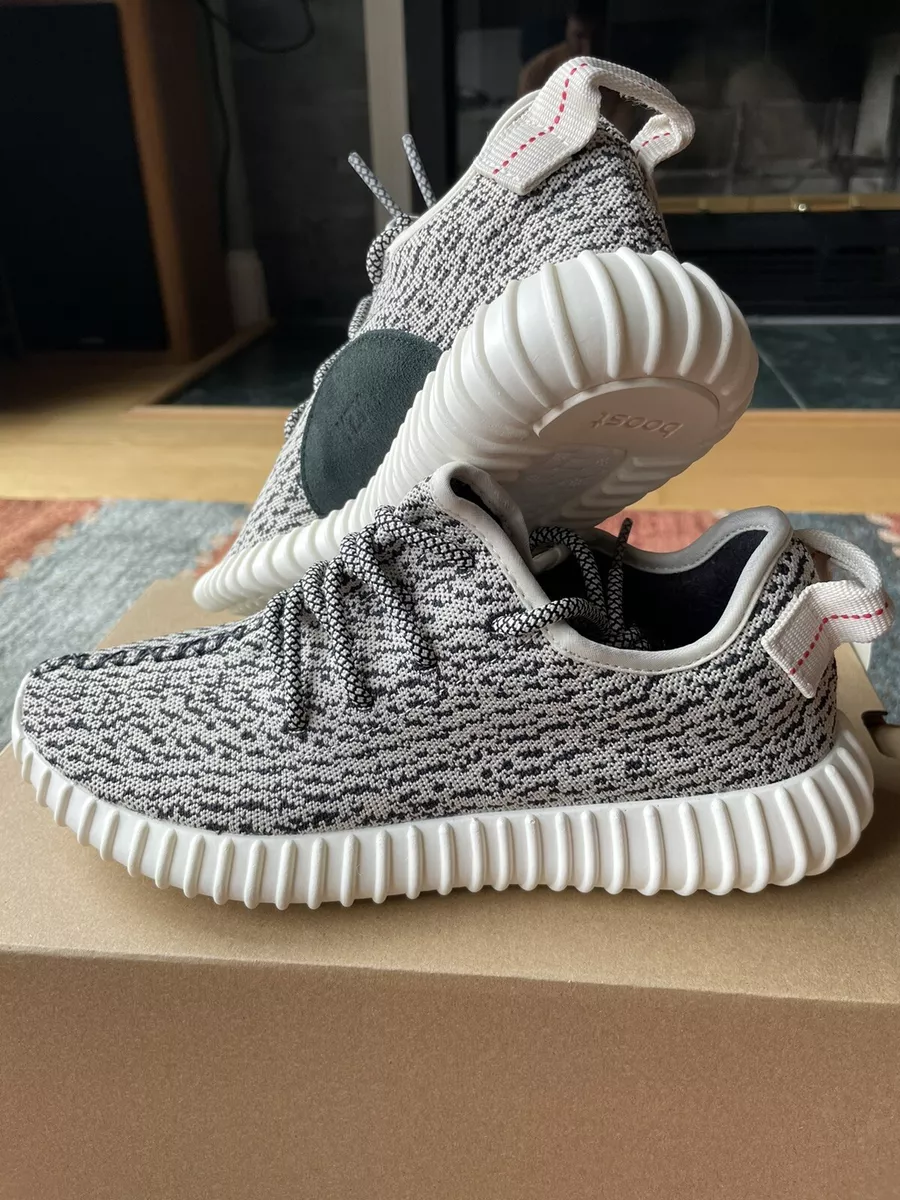 Adidas Yeezy 350 &#034;Turtle AQ4832 SIZE 6.5 Men / IN HAND | eBay