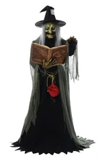 Animated Spell-Speaking Witch Prop 5' Lifesize Animatronic Haunted Halloween