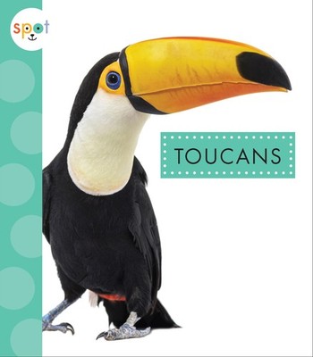 Toucans (Spot: Rainforest Animals)