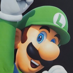 Luigi game room banner 2x4 foot tapestry wall flag NES Super Mario Bros gift