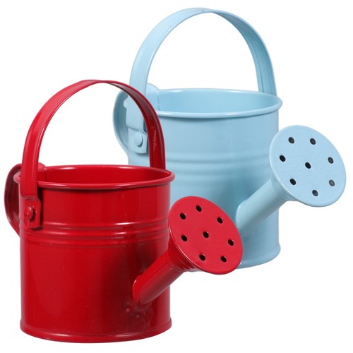 2 Pcs Iron Watering Can Flower Container Use to Plants for Kids Baby