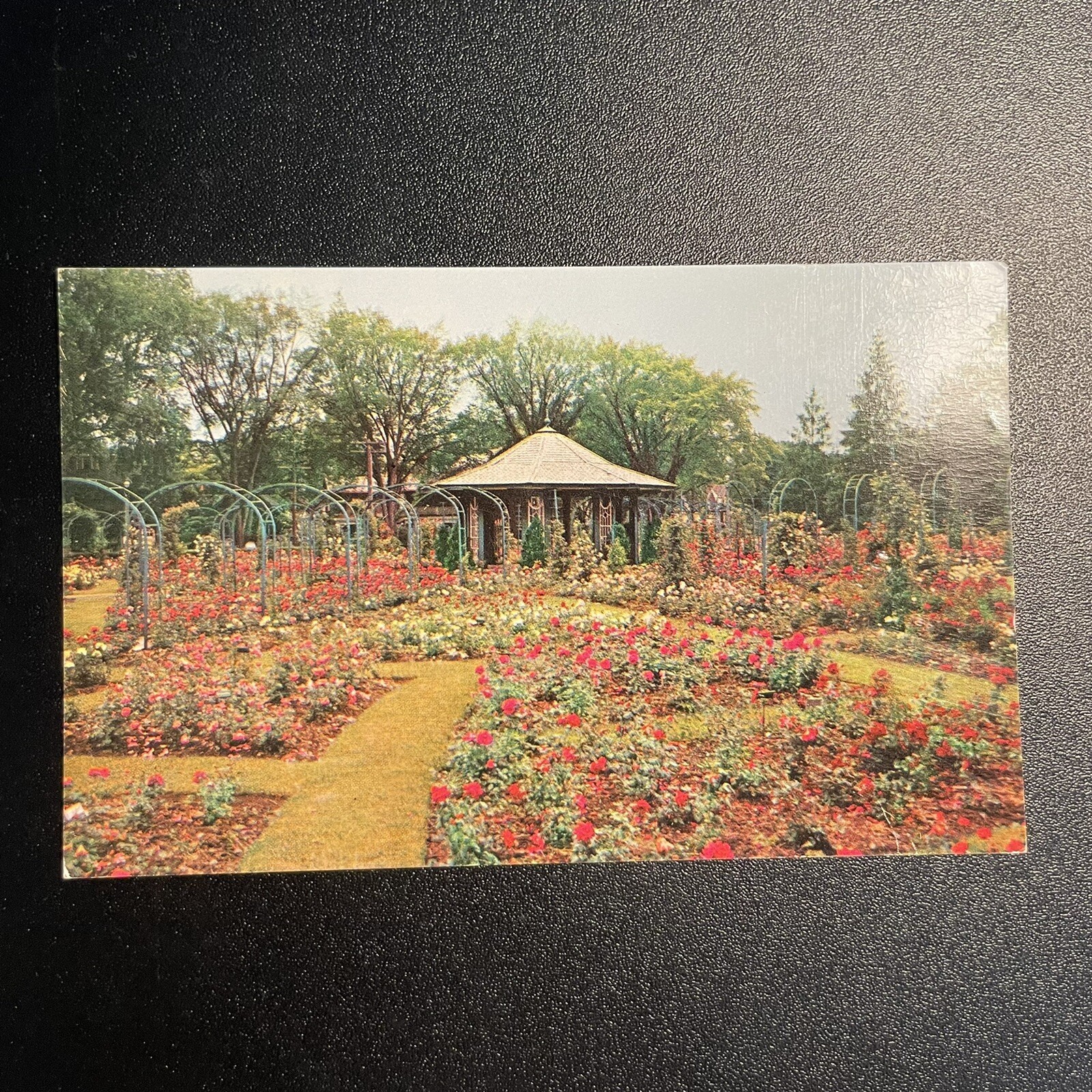 Flowers Near Syracuse Ny Best Flower Site