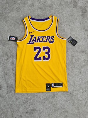lebron james icon jersey