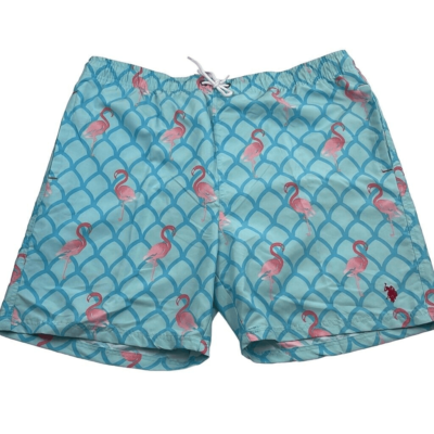 Swimming Pool Trunks Swimwear Brand Swimming Pool Best Looking